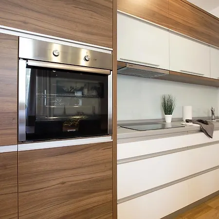 Brzece Center Apartment
